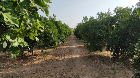 Photo 3 of House or chalet for sale in Pedanías Norte, Utrera