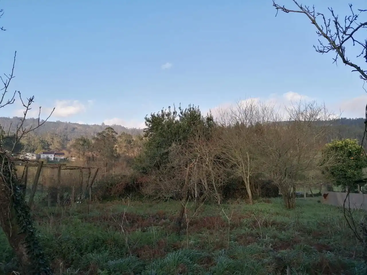 Country homes for sale in Brión