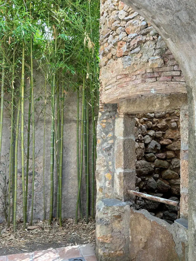 Jardí de Finca rústica en venda en Bellcaire d'Empordà amb Terrassa