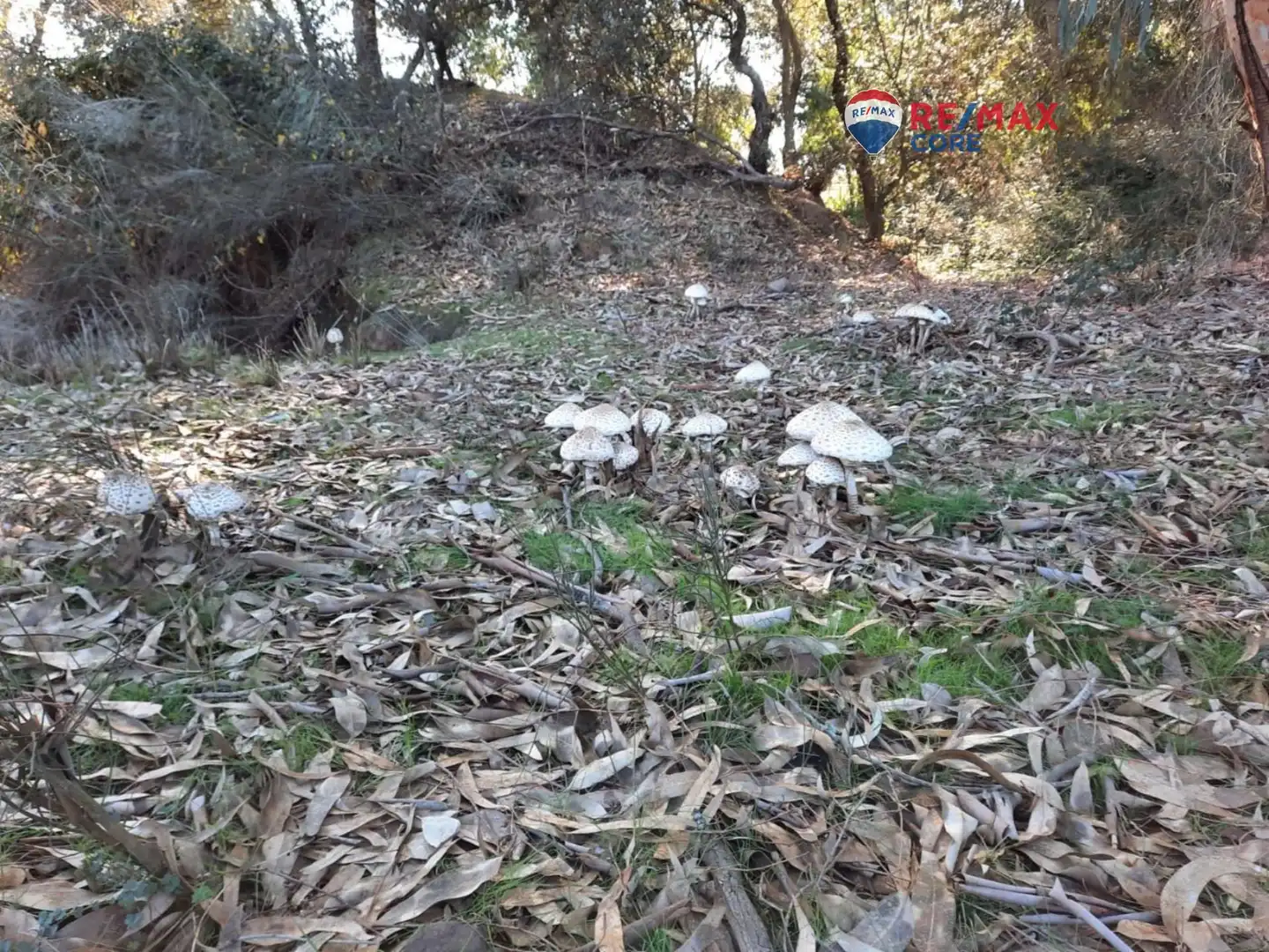 Terreni e lotti in vendita a Alburquerque, imagen 21