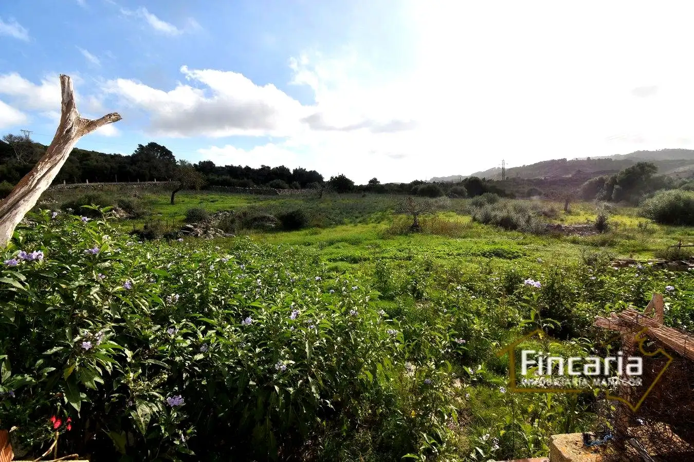 Casa rústica con jardín en venta en De Manacor, imagen 26