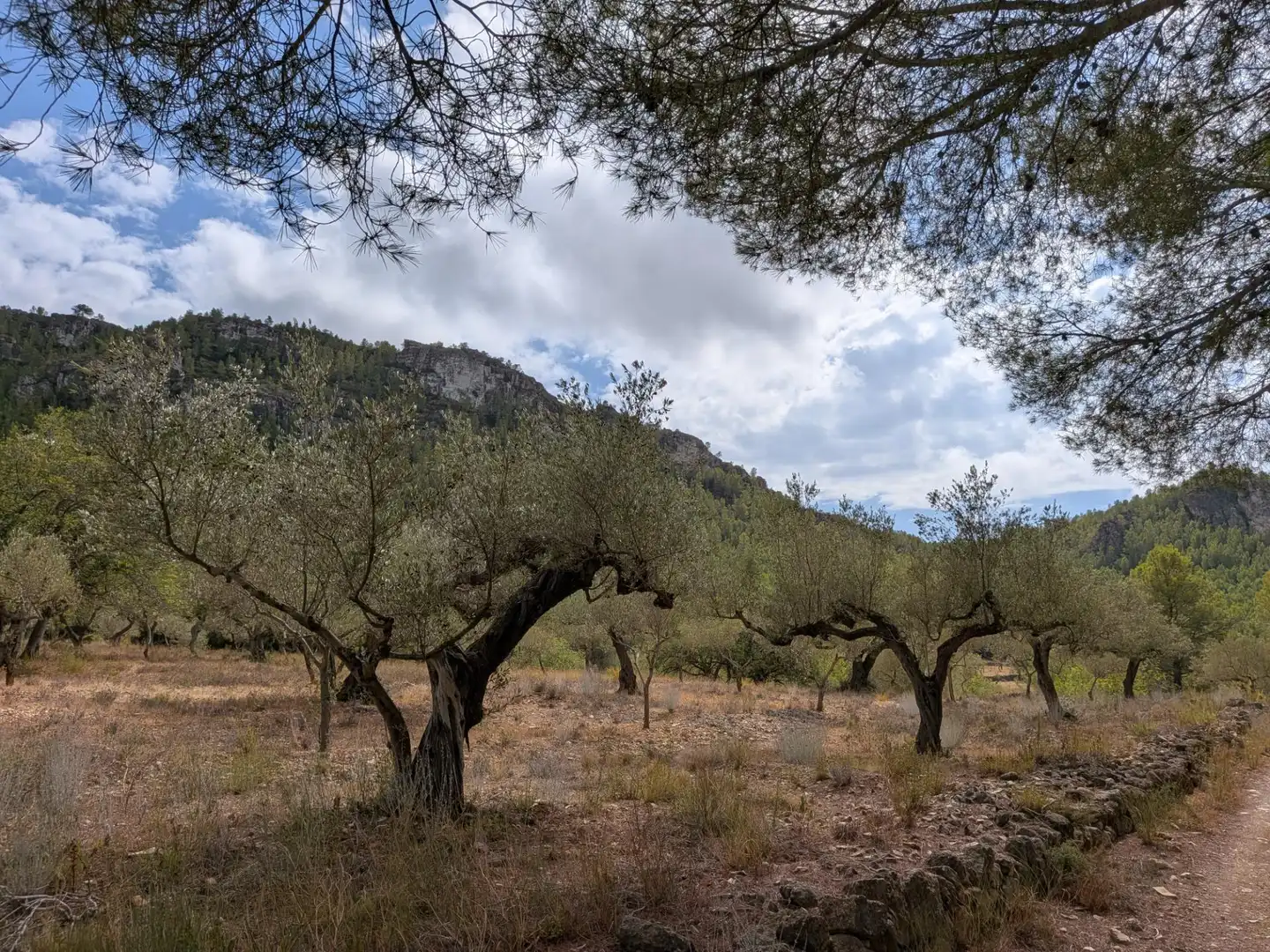 Maison rustique à vendre à Camino  Tivissa 51, imagen 40