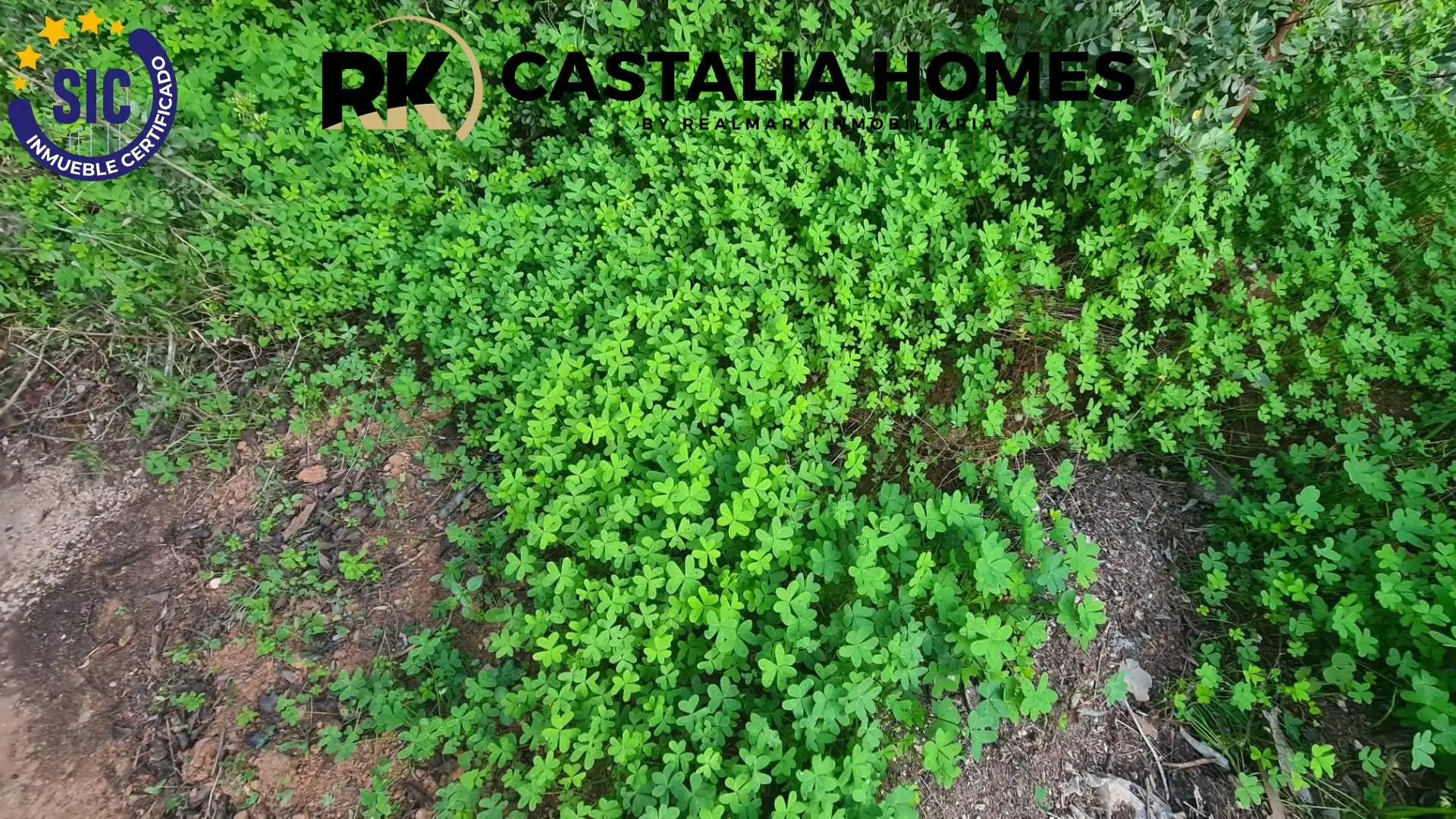 Casa o chalet en venta en Borriol con Jardín privado y Piscina