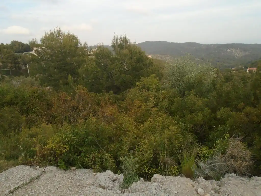 Rural land for sale in C/ Tulipa, imagen 11