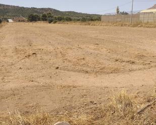 Land for sale in Aspe