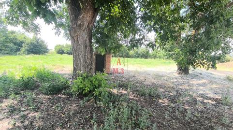 Foto 4 de Finca rústica en venda a San Félix, La Bañeza , León