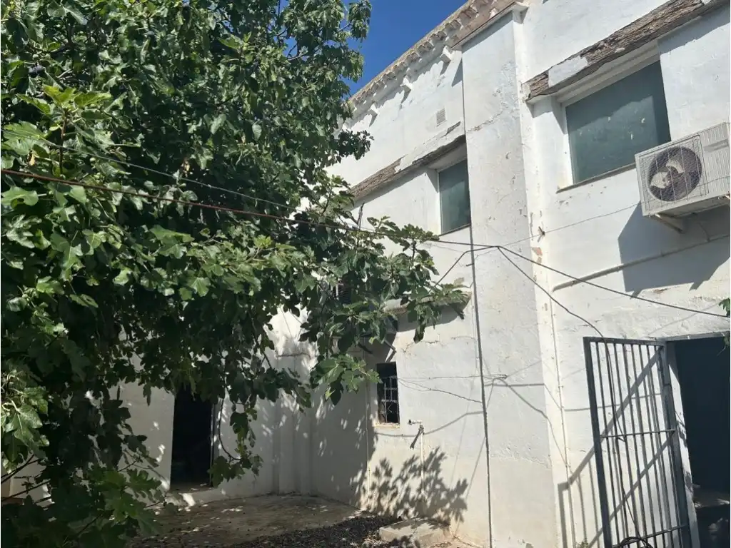 Finca rústica en venta en Altura