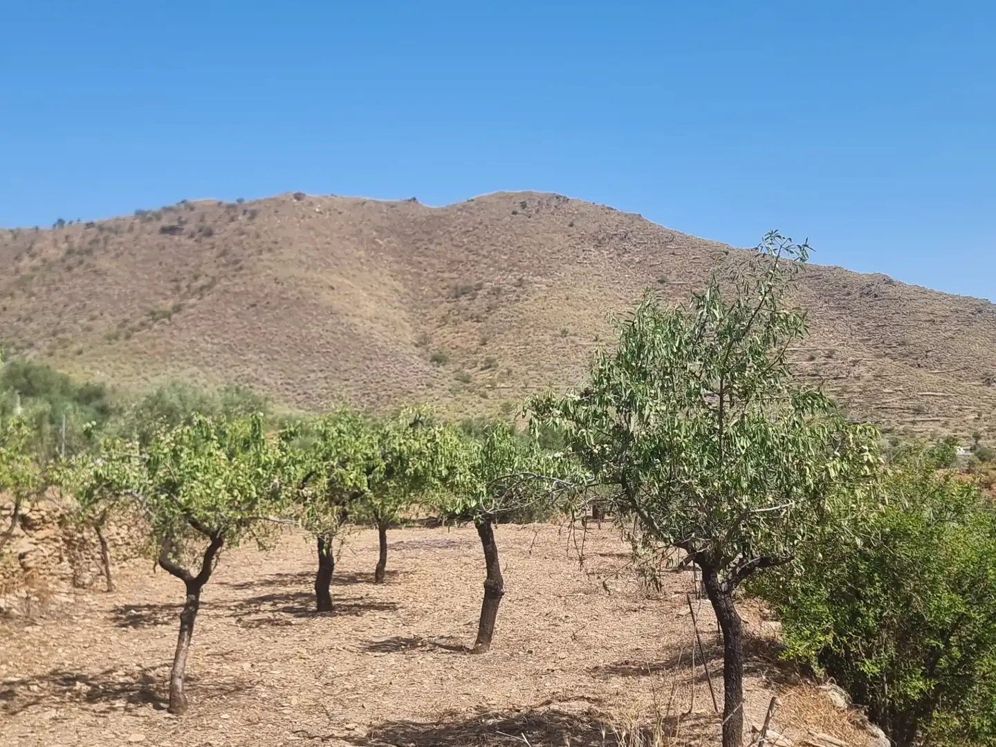 Terreno en venta en Senés