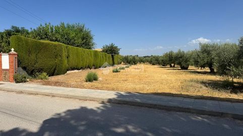 Terrenos en venta en Úbeda, immagine 2