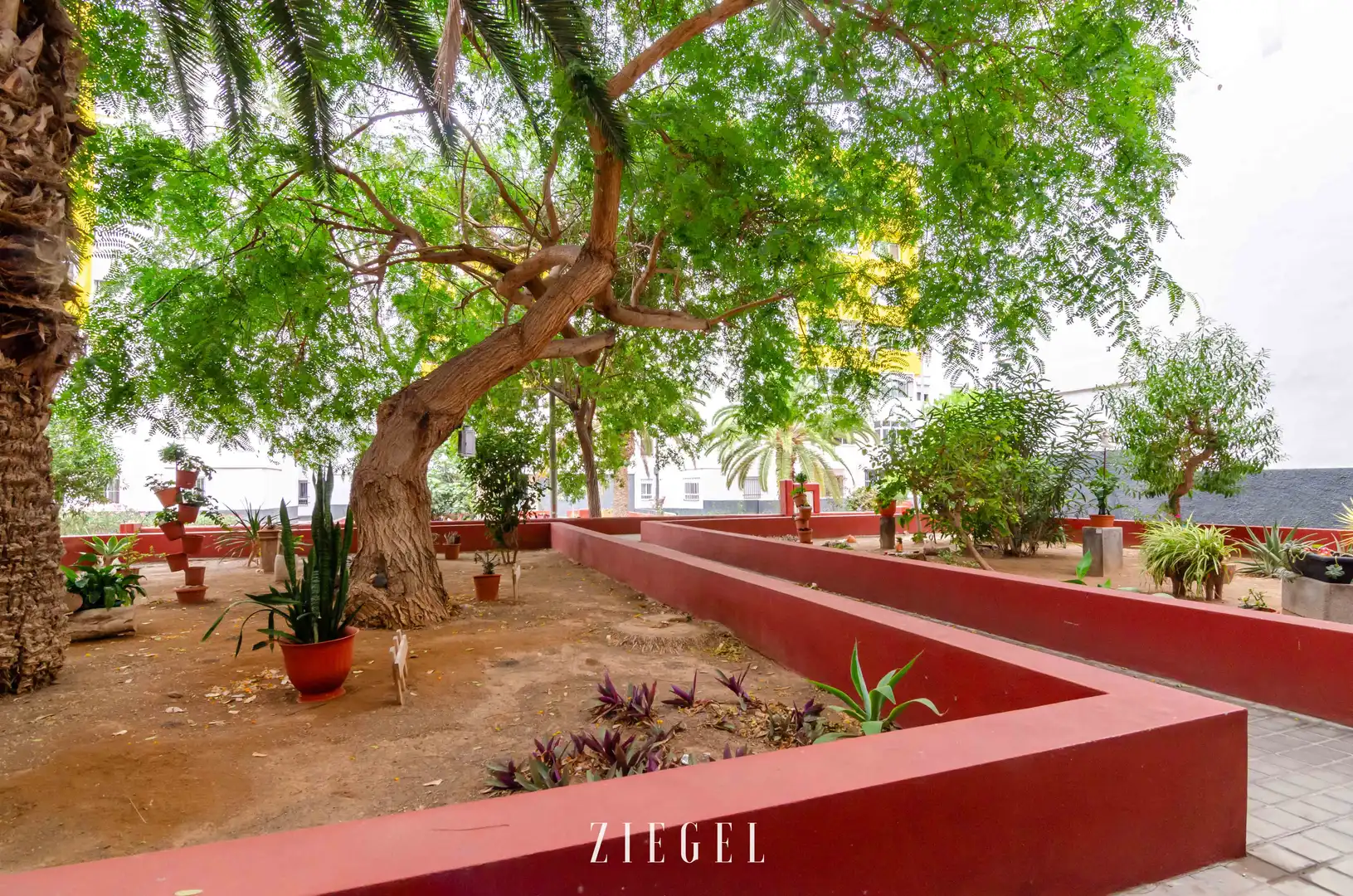 Terrace of Flat for sale in Las Palmas de Gran Canaria  with Private garden and Storage room