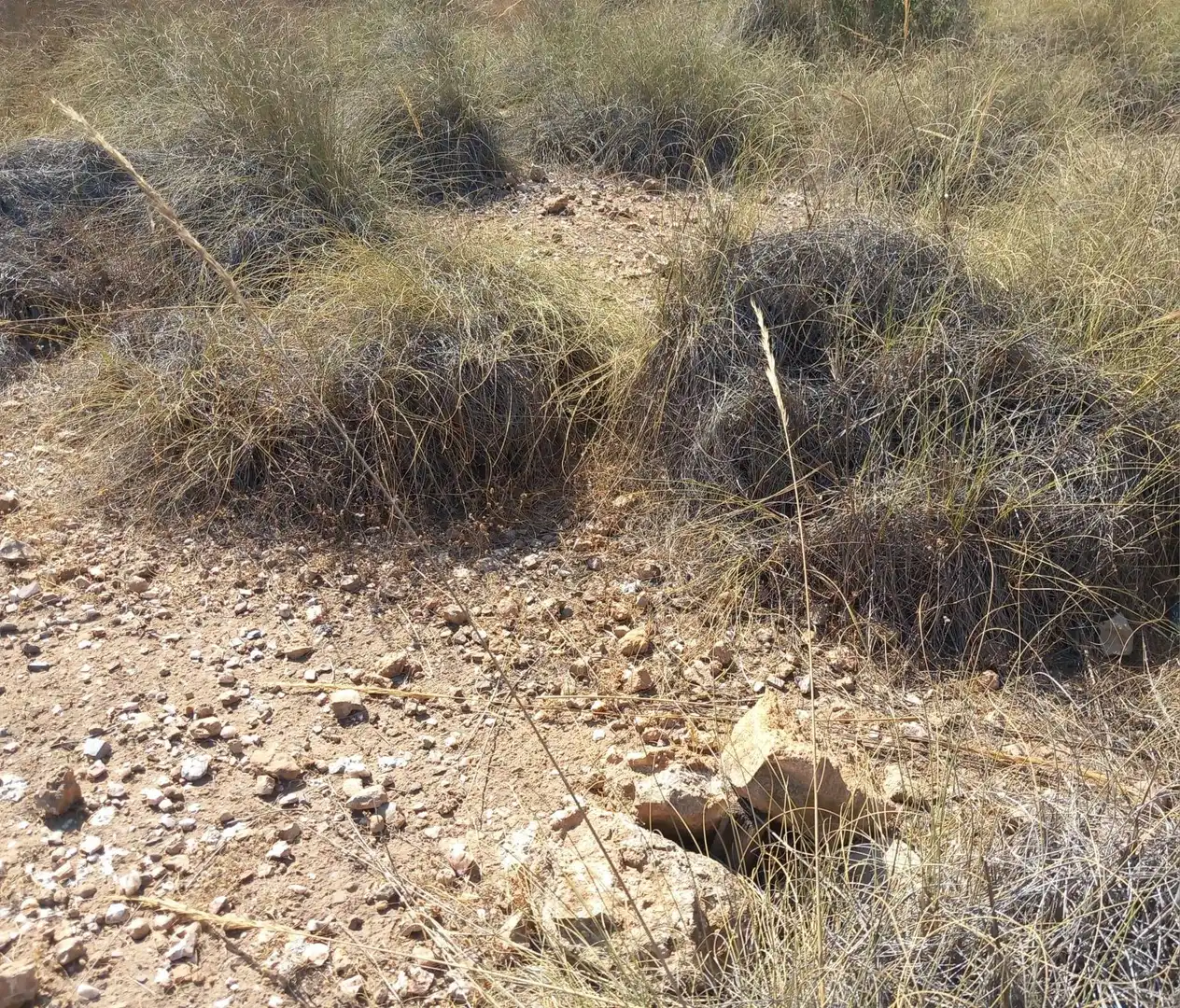 Terreny rústic en venda a San Isidro - Campohermoso, imagen 38
