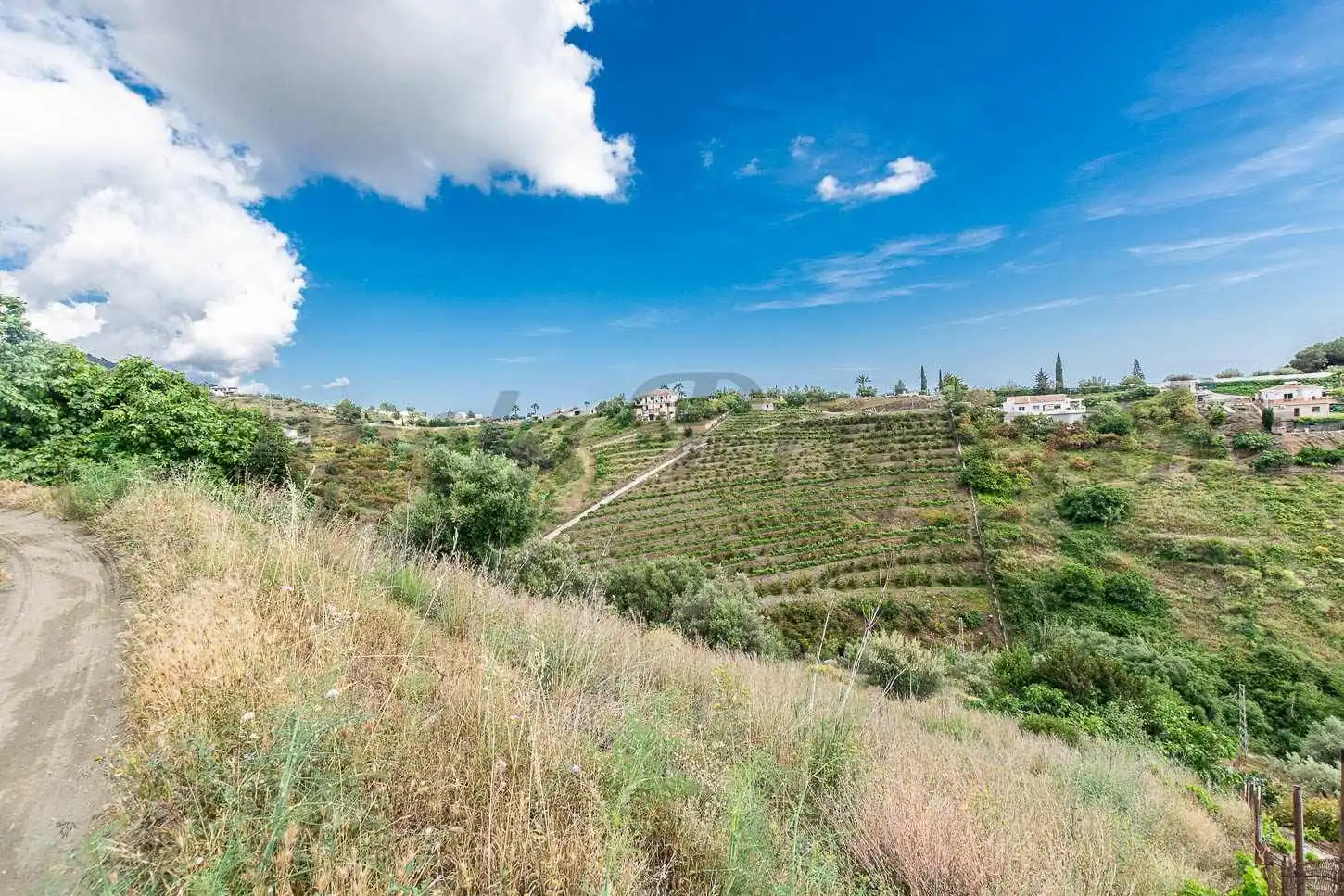 Terreno rústico en venta en Frigiliana, imagen 3