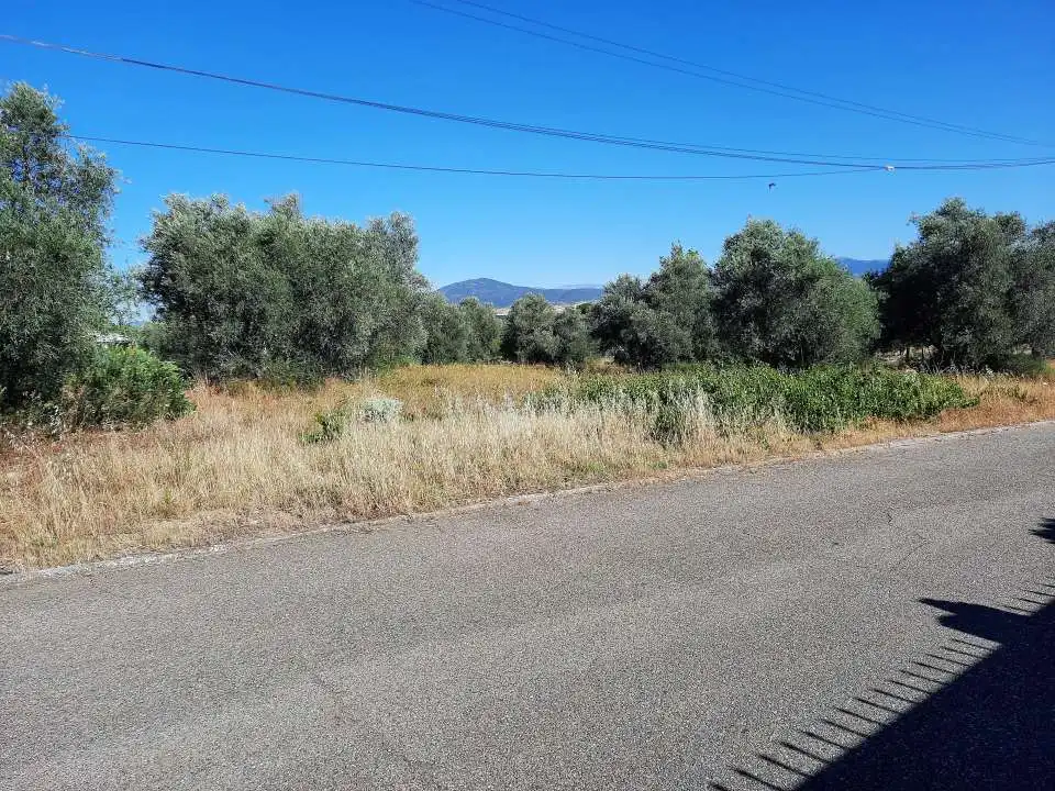 Terreno industrial en venta en Escalona