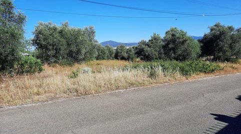 TERRENO DE 3.000 M2 PARA USO COMERCIAL EN INMEJORABLE ZONA DE ESCALONA, immagine 2