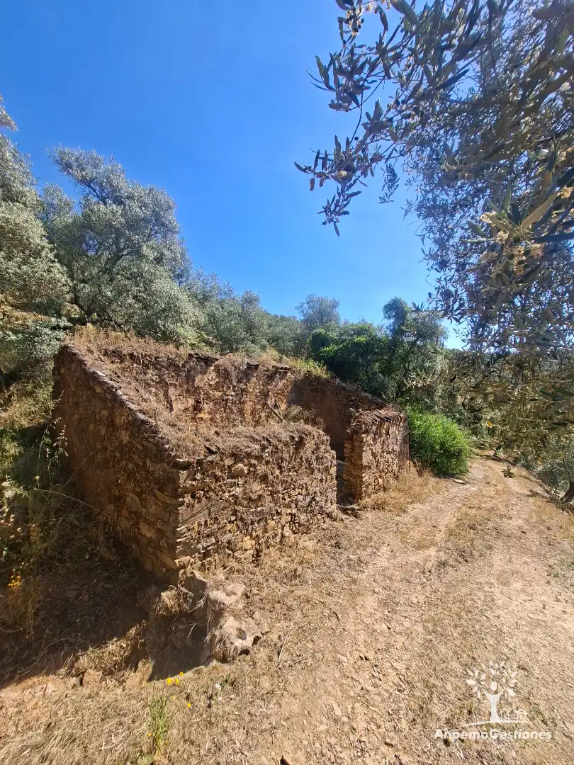 Land for sale in Las Navas de la Concepción