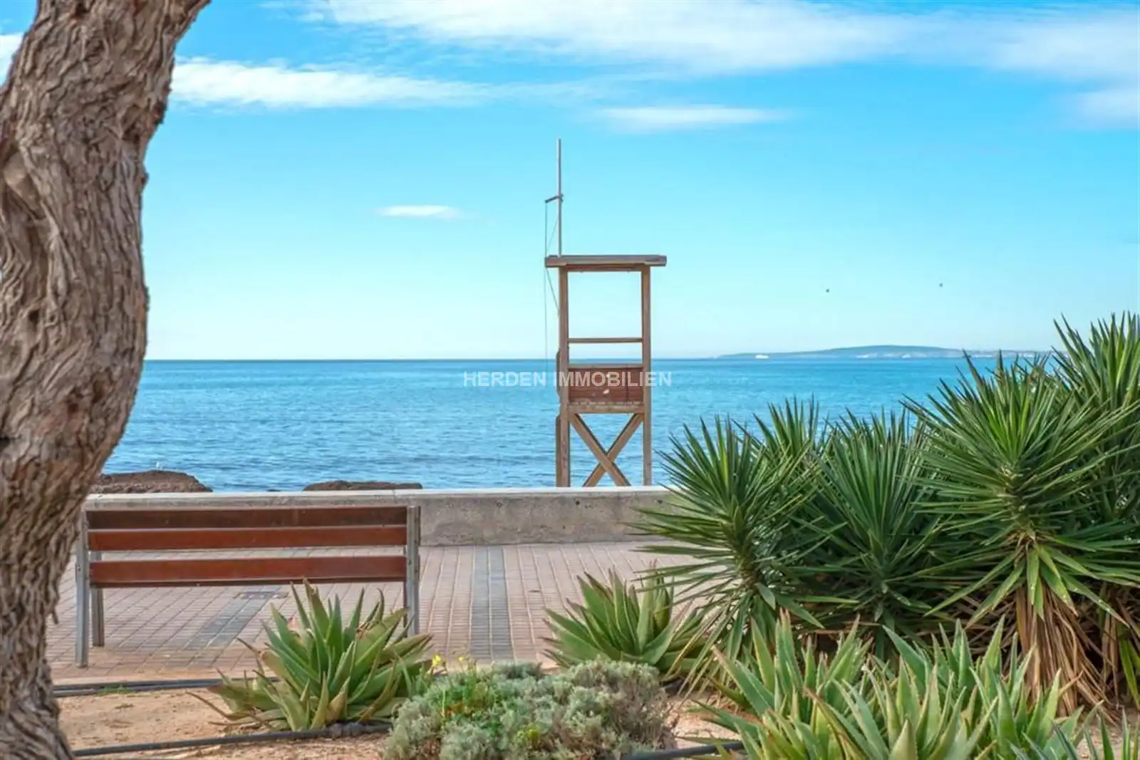 Pis amb terrassa en venda a Platja de Palma, imagen 22