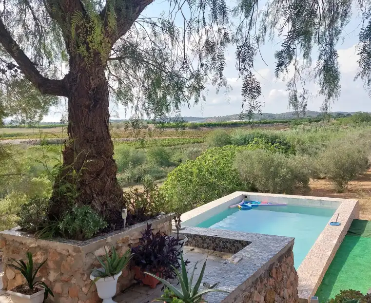 Xalet amb piscina en venda a Turís, imagen 23