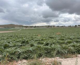 Land for sale in Mucientes