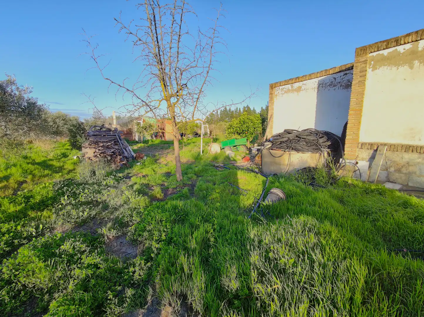 Lands and plots for sale in Lebrija, imagen 19