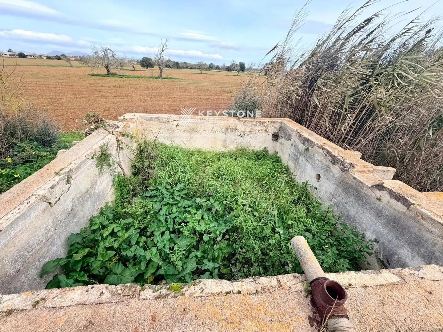 Finca rústica en venta en Campos con Terraza