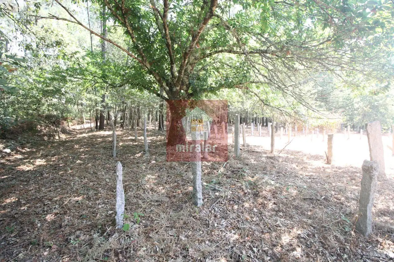 Casa amb jardí en venda a Ponteareas, imagen 5