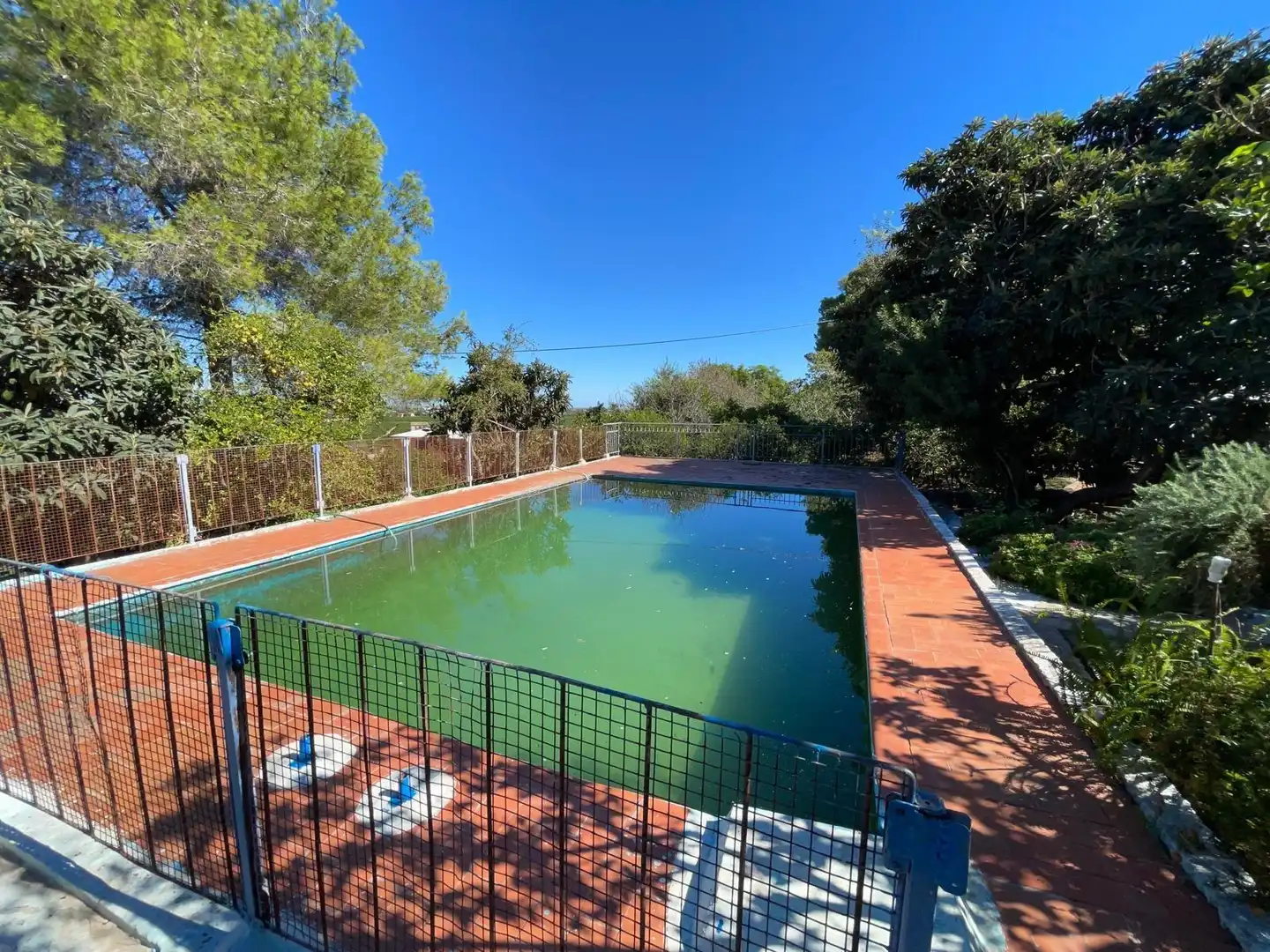 Piscina de Casa o chalet en venta en Alzira con Jardín privado, Terraza y Trastero