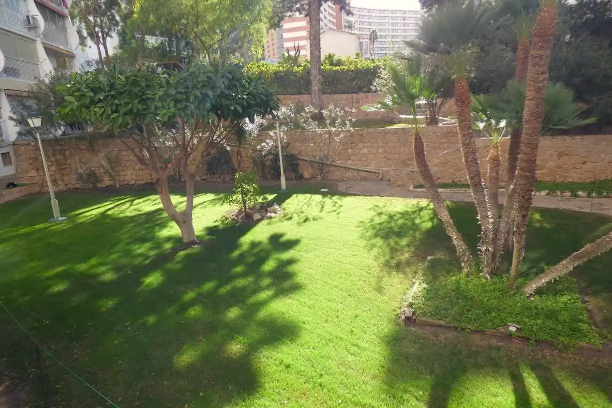 Jardí de Apartament en venda en Benidorm amb Piscina i Piscina comunitària