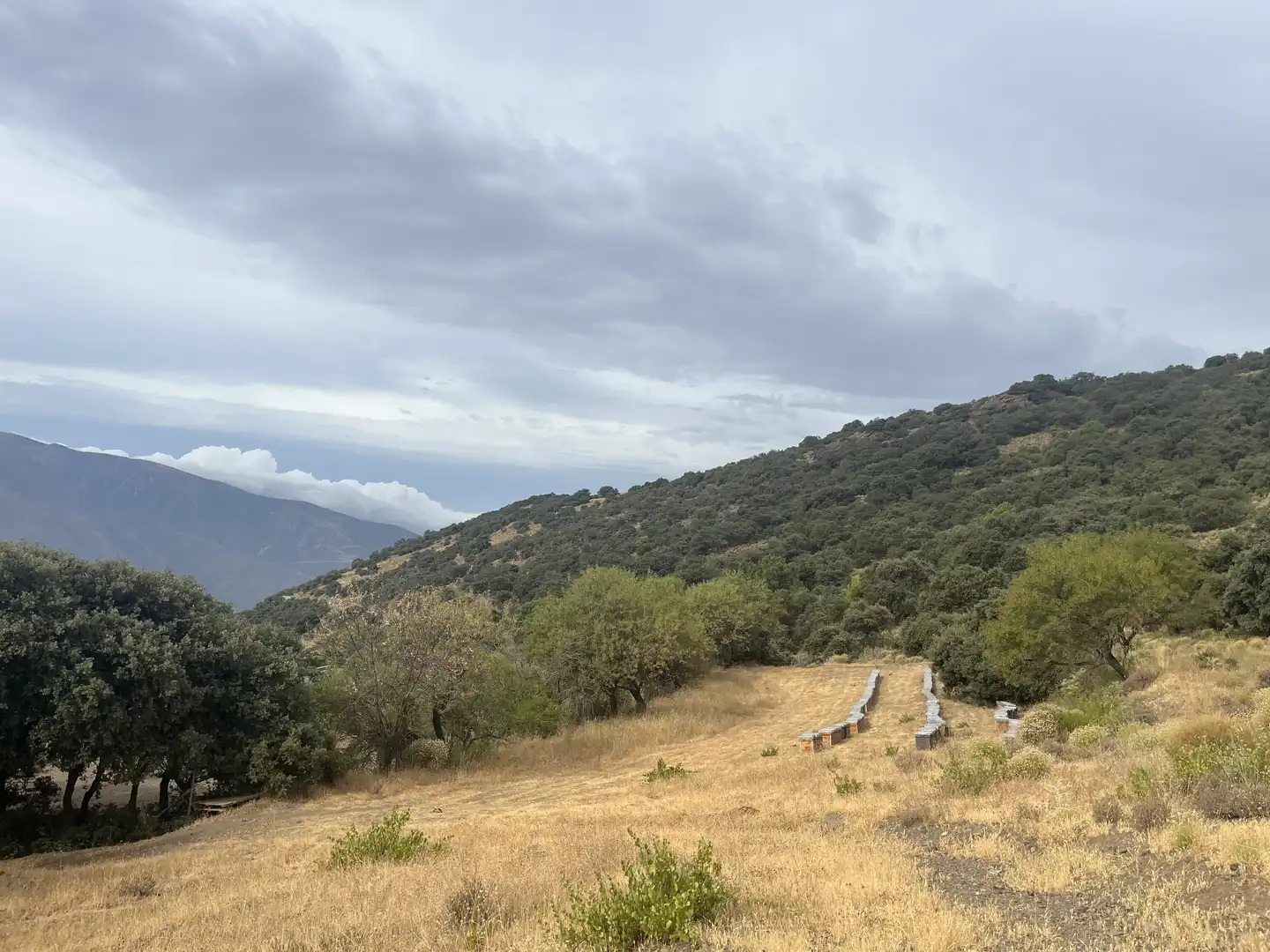 Terreno en venta en La Taha