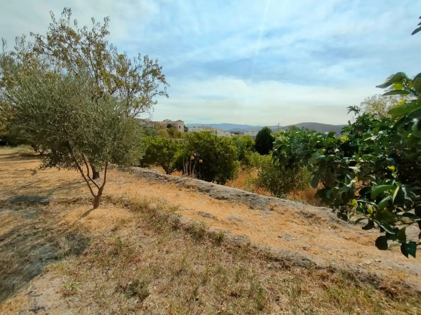 Grundstücke und Bauplätze zum Verkauf in Ugíjar, imagen 12
