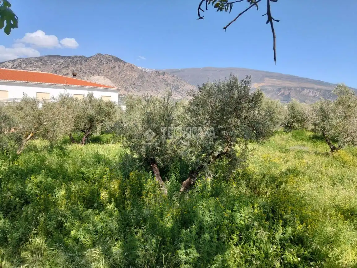Rural land for sale in Dúrcal, imagen 7