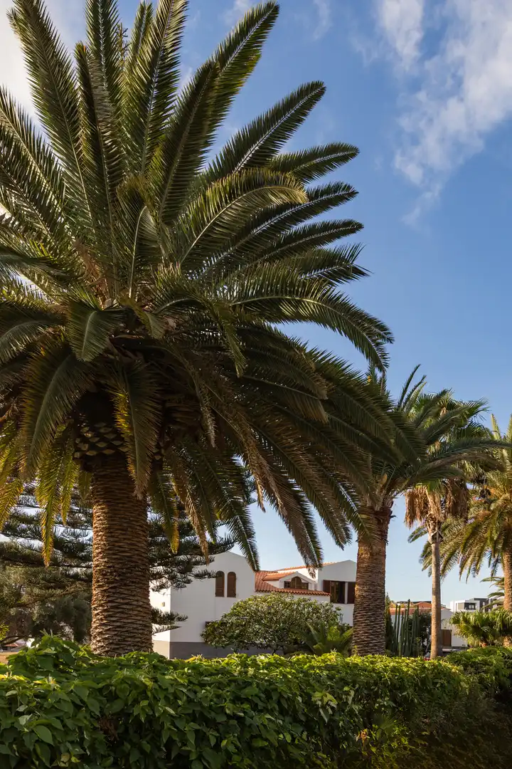 Vista exterior de Casa o xalet en venda en Candelaria amb Aire condicionat, Jardí privat i Terrassa