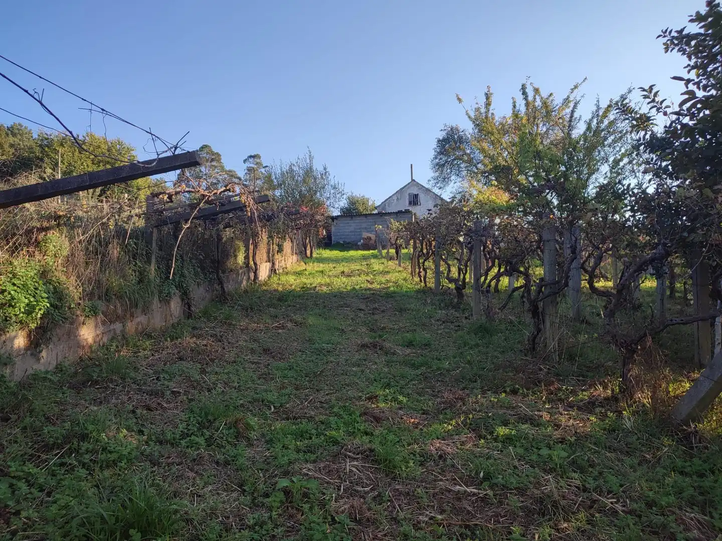 Casa o chalet en venta en Vigo 