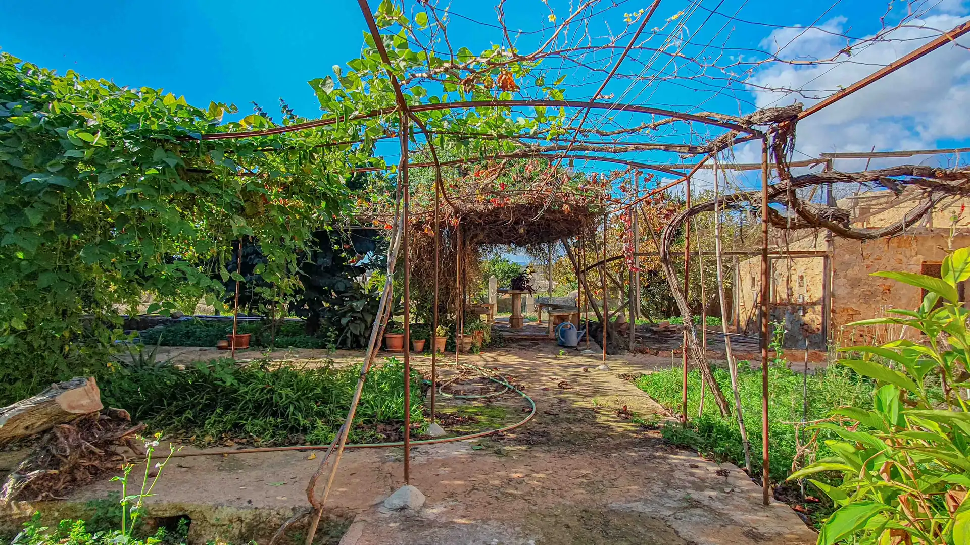 Jardí de Finca rústica en venda en  Palma de Mallorca amb Jardí privat, Terrassa i Traster