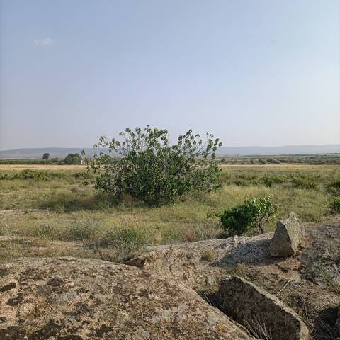 Terreno en Venta en Orgaz