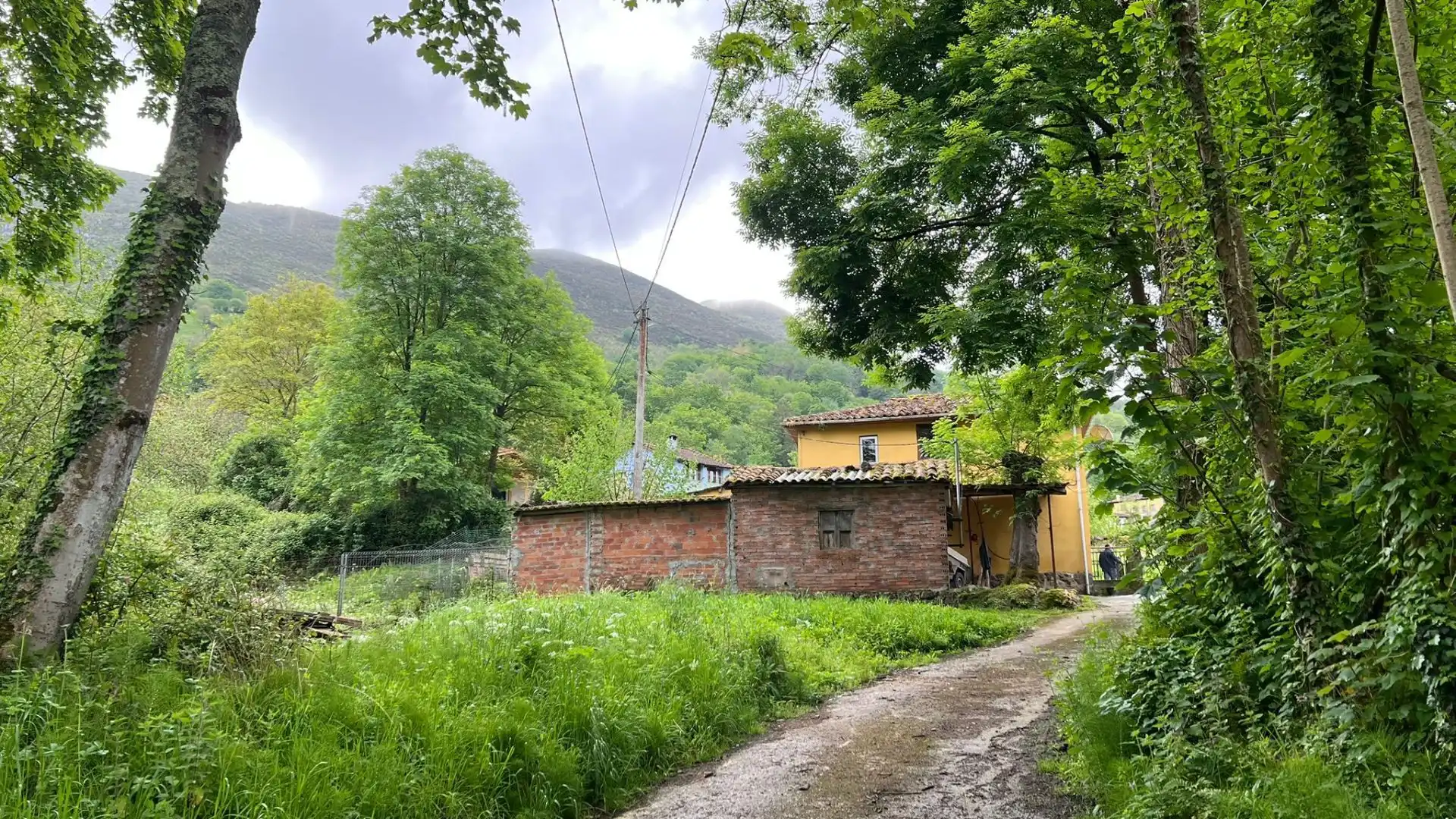 Vista exterior de Casa o chalet en venta en Parres con Jardín privado
