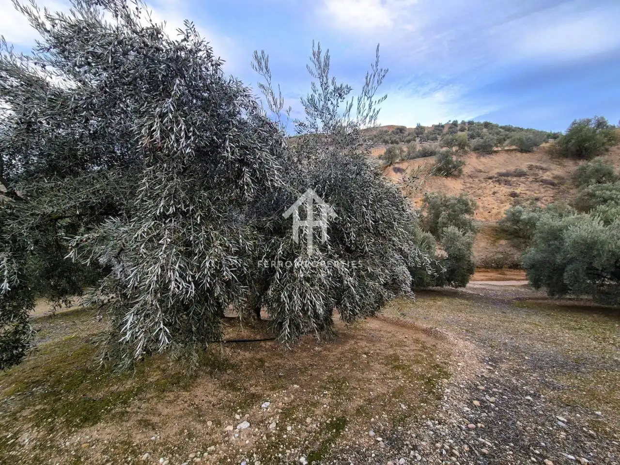 Terreni e lotti in vendita a Huétor Tájar, imagen 20