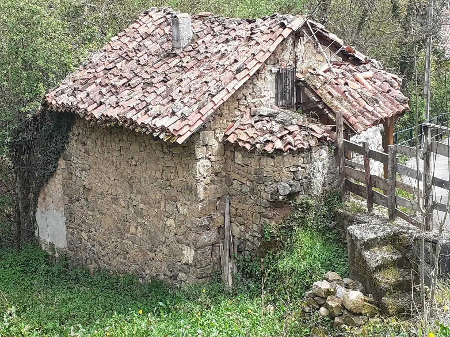 Exterior view of Houses for sale in Camaleño
