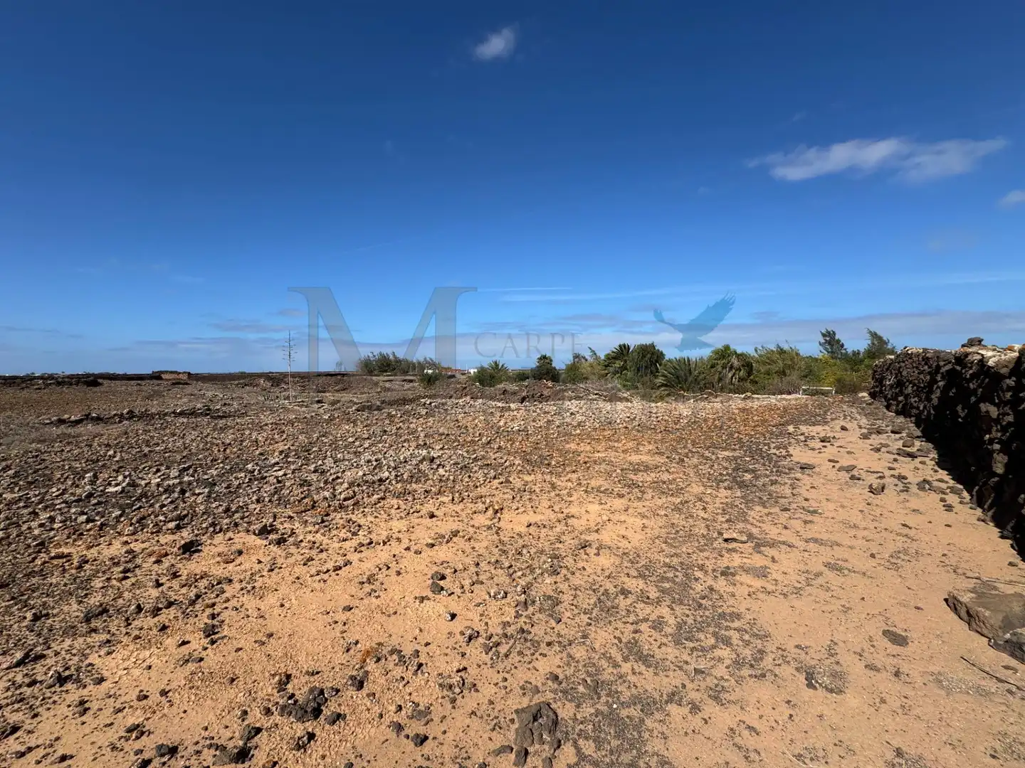 Land for sale in La Oliva