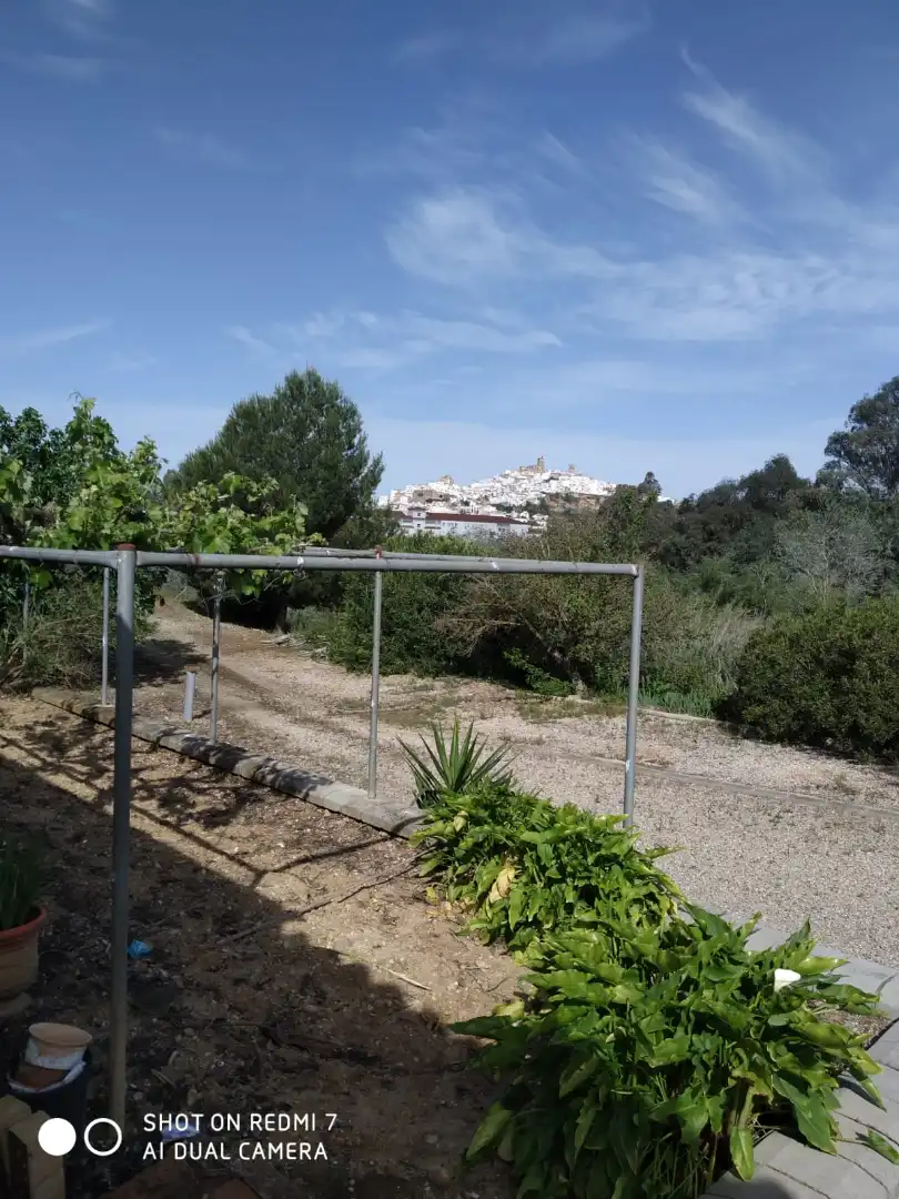 Terreny rústic en venda a Arcos de la Frontera, imagen 21