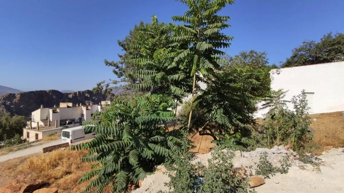 Residential for sale in Calle SABUQUILLO, Lanjarón