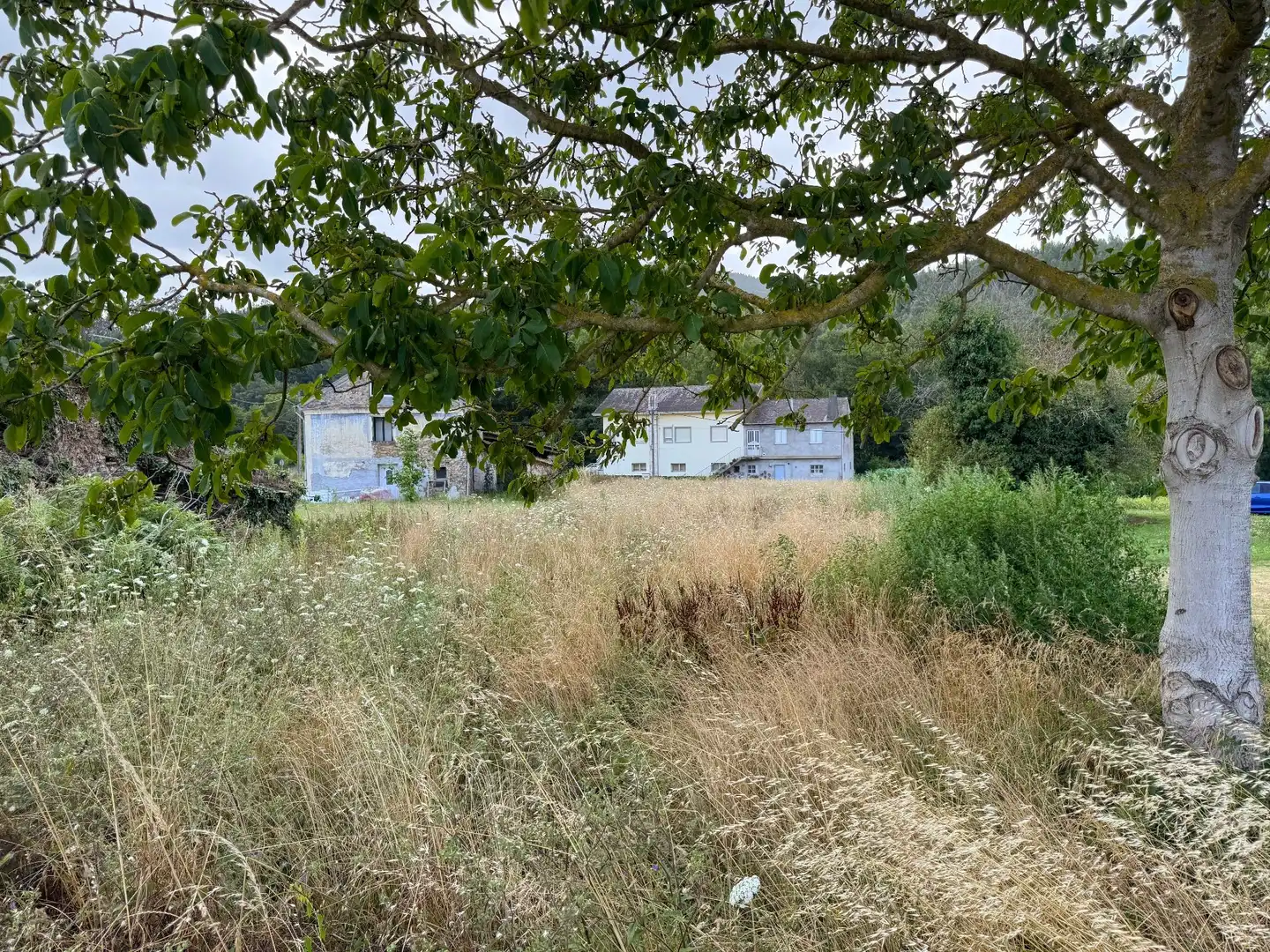 Casa o xalet en venda en Lourenzá