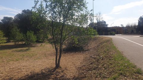 Foto 3 de Residencial en venta en Els Masos de Pals, Pals
