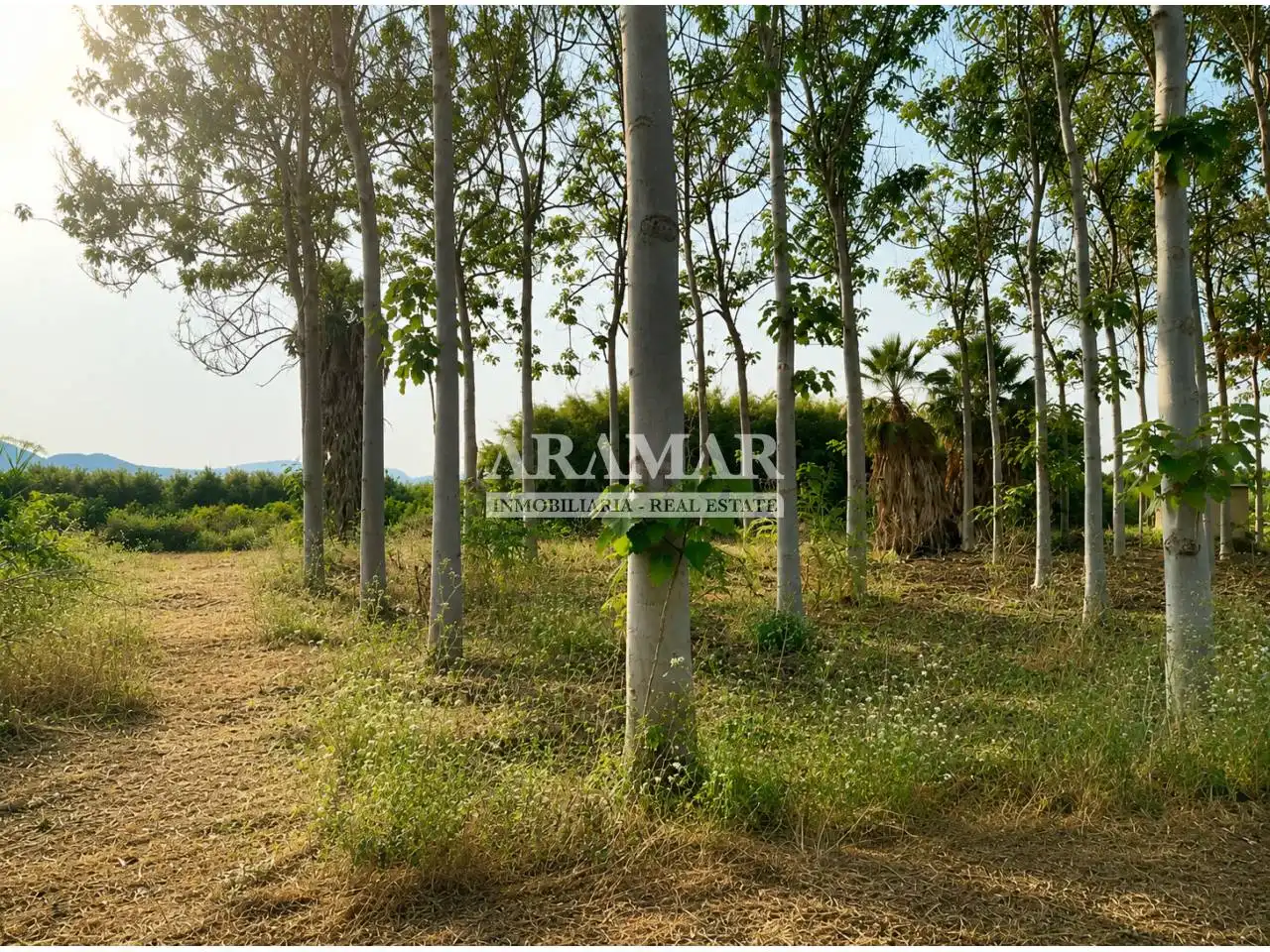 Rural land for sale in Pego, imagen 3