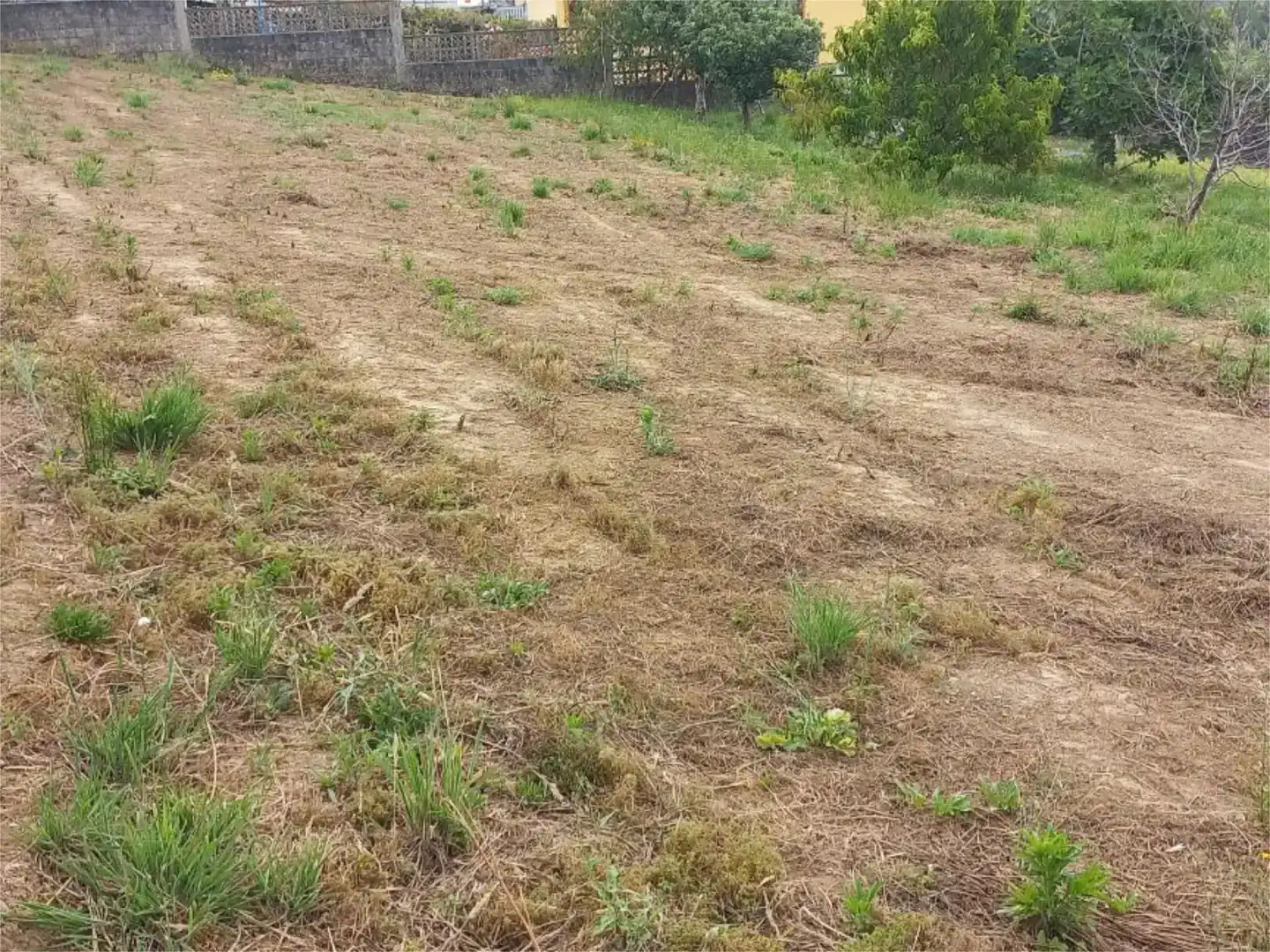 Grundstücke zur Miete in Betanzos