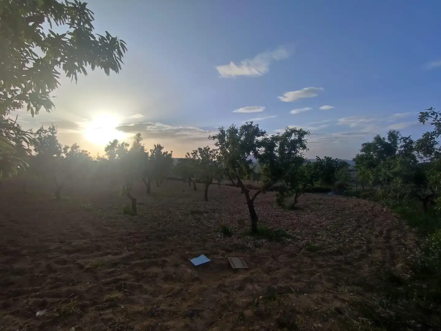 Villa con giardino in vendita a El Pinós / Pinoso, imagen 45