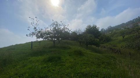 Foto 2 de Finca rústica en venda a Quintes - Arroes, Villaviciosa