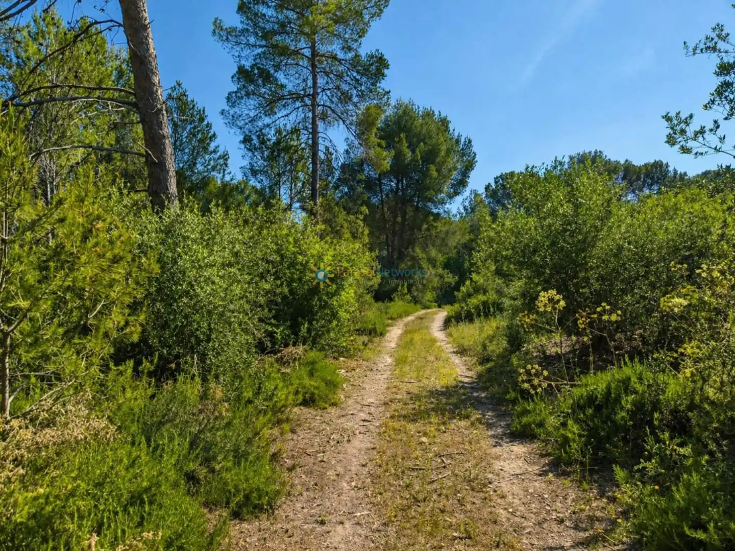 Terreno en venta en Bellús