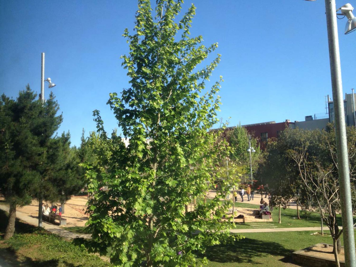 Wohnung zur Miete in Centre