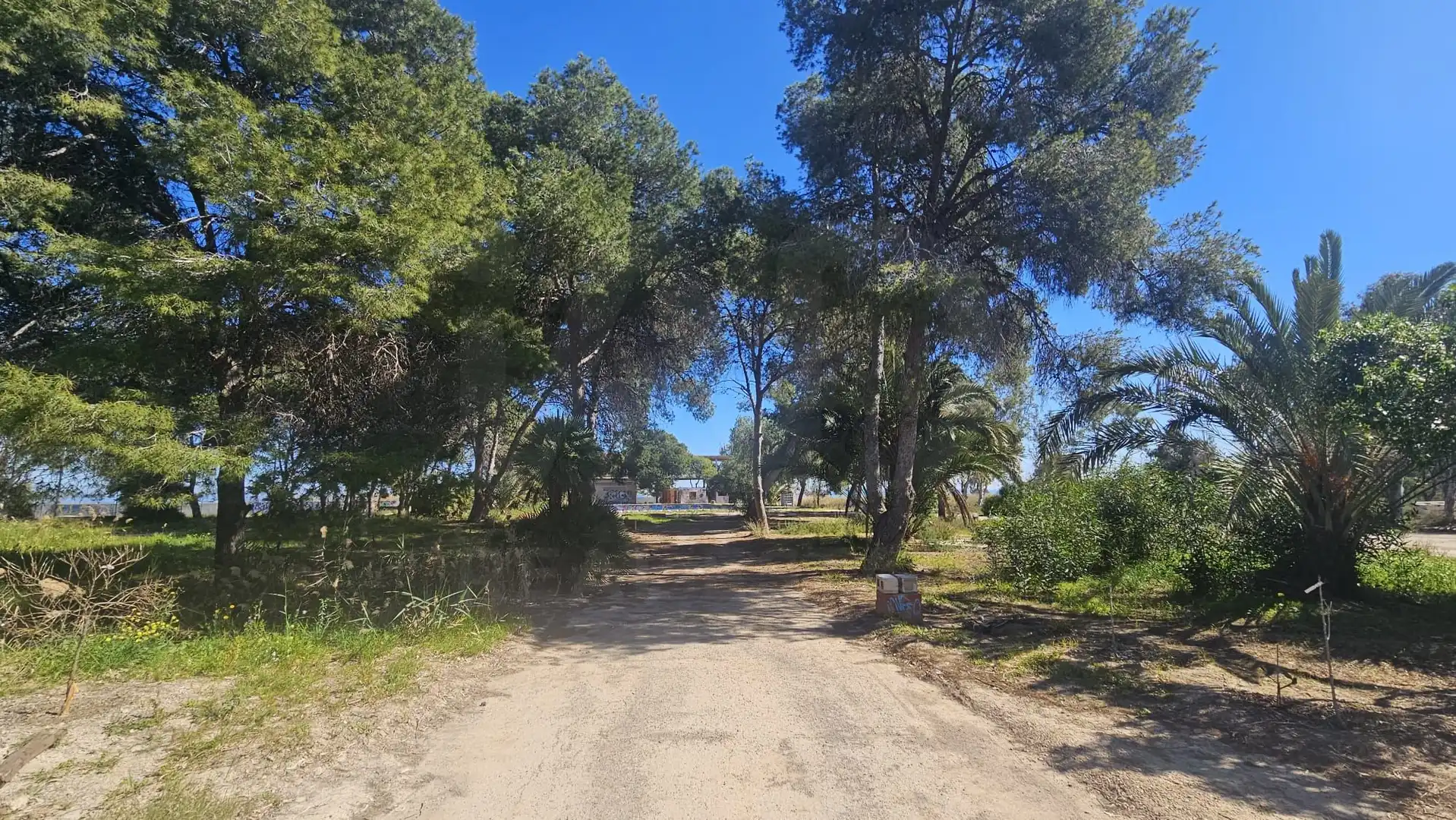 Terrenos y solares en venta en Mar Menor de Cartagena – Cabo de Palos, imagen 13