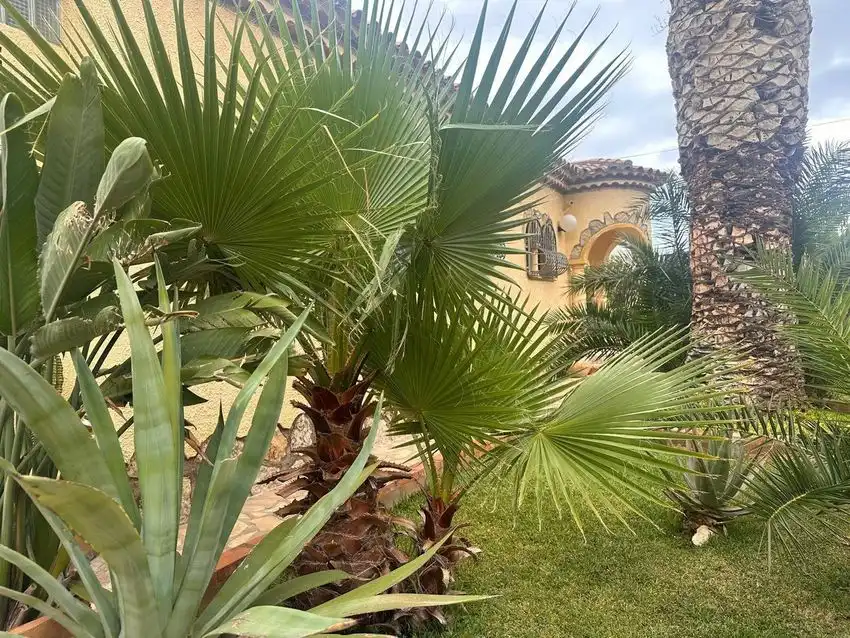 House with pool for sale in Miami Platja, imagen 42